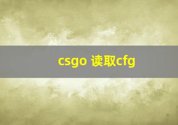 csgo 读取cfg